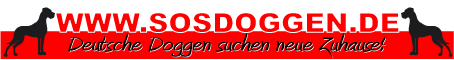 Zu SOS Doggen in Not